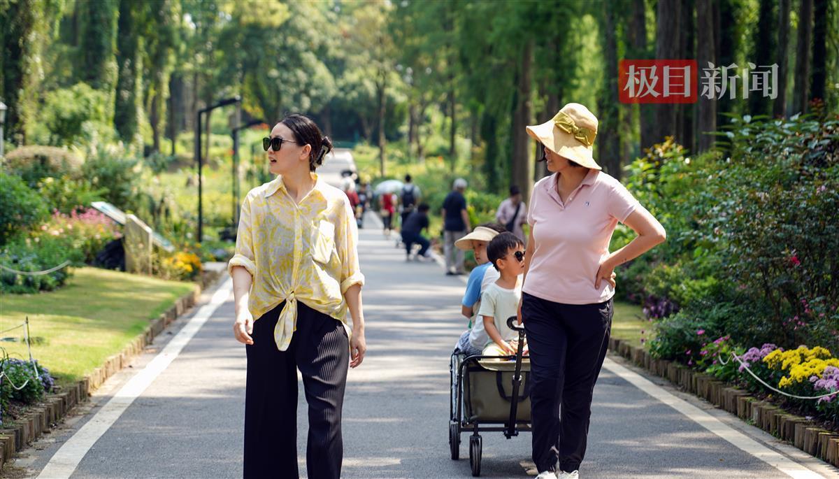 天九国际官网网址